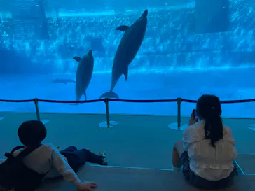 名古屋港水族館に投稿された画像（2026/2/23）