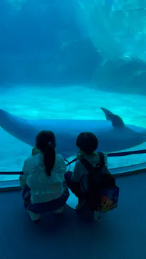 名古屋港水族館に投稿された画像（2026/2/23）