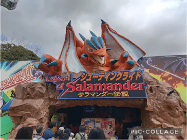 国営ひたち海浜公園プレジャーガーデンに投稿された画像（2026/2/23）