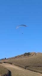 Parahawking（パラホーキング ）in Japanに投稿された画像（2026/2/23）