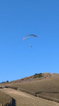 Parahawking（パラホーキング ）in Japanに投稿された画像（2026/2/23）