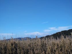 Parahawking（パラホーキング ）in Japanに投稿された画像（2026/2/23）