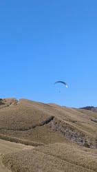 Parahawking（パラホーキング ）in Japanに投稿された画像（2026/2/23）