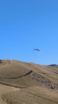Parahawking（パラホーキング ）in Japanに投稿された画像（2026/2/23）