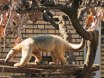 こども動物自然公園（埼玉県公園緑地協会）に投稿された画像（2026/2/23）