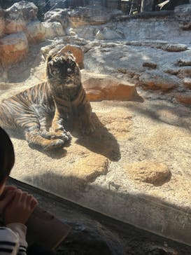 恩賜上野動物園に投稿された画像（2026/2/23）