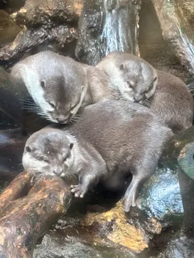 那須どうぶつ王国に投稿された画像（2026/2/23）