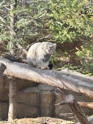 那須どうぶつ王国に投稿された画像（2026/2/23）