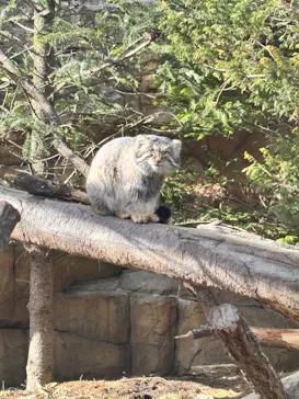 那須どうぶつ王国に投稿された画像（2026/2/23）
