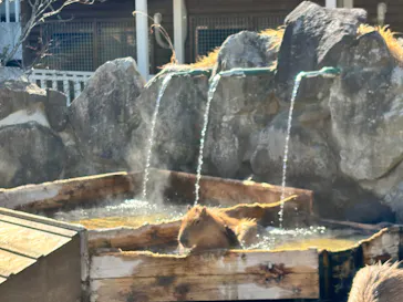 那須どうぶつ王国に投稿された画像（2026/2/23）