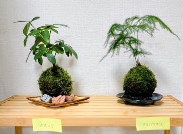 カルチャースクールいろはに投稿された画像（2026/2/23）