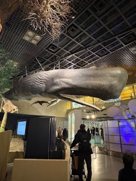 特別展「大絶滅展―生命史のビッグファイブ」に投稿された画像（2026/2/23）