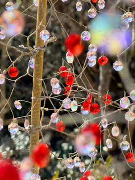 箱根ガラスの森美術館に投稿された画像（2026/2/23）