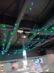 スマートアクアリウム静岡に投稿された画像（2026/2/23）