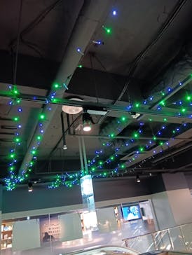 スマートアクアリウム静岡に投稿された画像（2026/2/23）