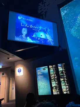 新江ノ島水族館に投稿された画像（2026/2/23）