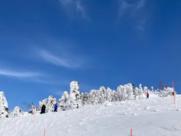 阿仁スキー場に投稿された画像（2026/2/23）