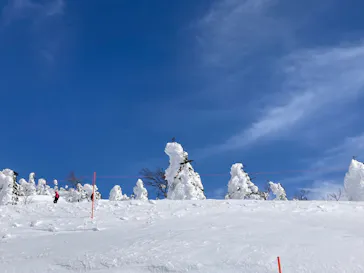 阿仁スキー場に投稿された画像（2026/2/23）