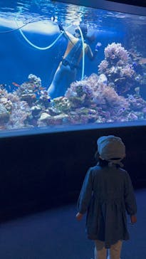 サンシャイン水族館に投稿された画像（2026/2/23）