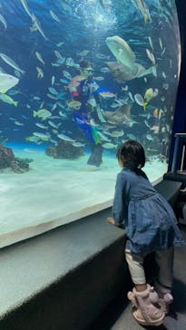 サンシャイン水族館に投稿された画像（2026/2/23）