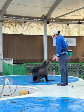 サンシャイン水族館に投稿された画像（2026/2/23）