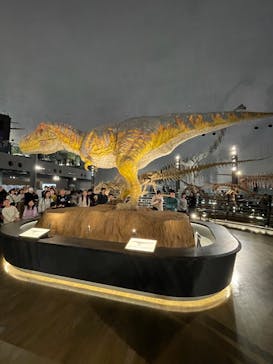 福井県立恐竜博物館に投稿された画像（2026/2/23）