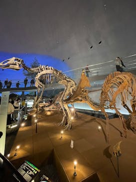 福井県立恐竜博物館に投稿された画像（2026/2/23）