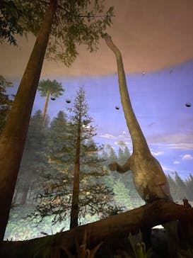 福井県立恐竜博物館に投稿された画像（2026/2/23）