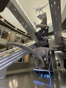 福井県立恐竜博物館に投稿された画像（2026/2/23）