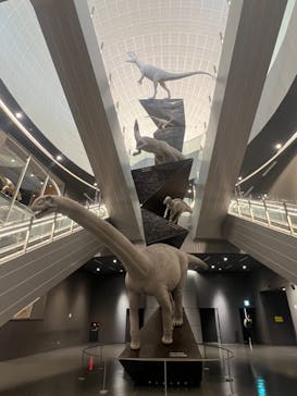福井県立恐竜博物館に投稿された画像（2026/2/23）