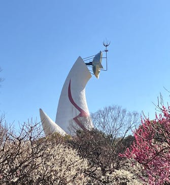 万博記念公園に投稿された画像（2026/2/23）