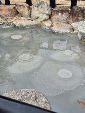 べっぷ地獄めぐりに投稿された画像（2026/2/23）