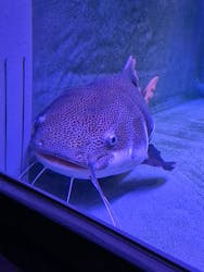 べっぷ地獄めぐりに投稿された画像（2026/2/23）