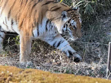 多摩動物公園に投稿された画像（2026/2/23）