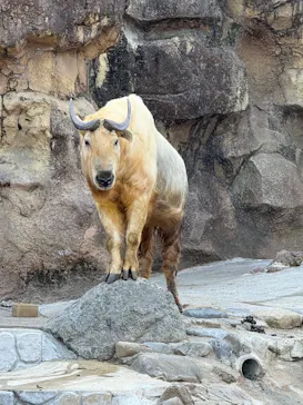 多摩動物公園に投稿された画像（2026/2/23）