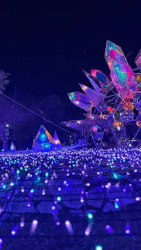 江の島シーキャンドルに投稿された画像（2026/2/23）