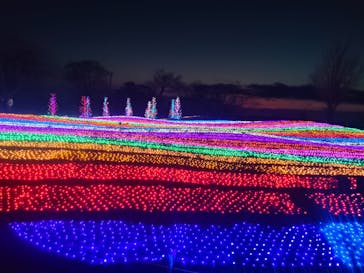 マザー牧場に投稿された画像（2026/2/23）