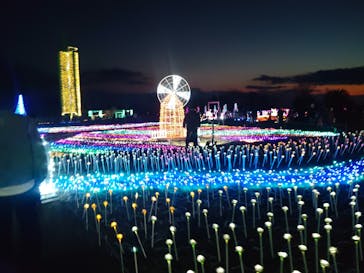 マザー牧場に投稿された画像（2026/2/23）