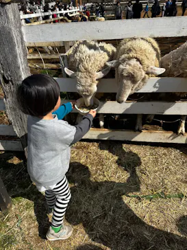 成田ゆめ牧場に投稿された画像（2026/2/23）