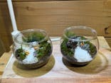Terrariums メトロ・エム後楽園店に投稿された画像（2026/2/24）