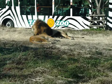 多摩動物公園に投稿された画像（2026/2/24）