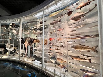 国立科学博物館に投稿された画像（2026/2/24）