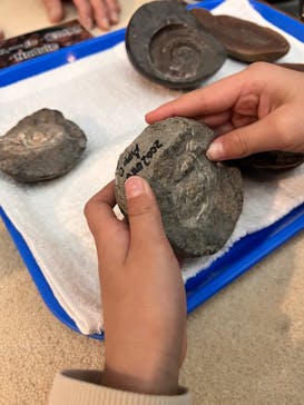 国立科学博物館に投稿された画像（2026/2/24）