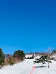 大仙市営協和スキー場に投稿された画像（2026/2/24）