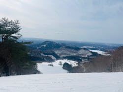 大仙市営協和スキー場に投稿された画像（2026/2/24）