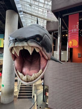 ミュージアムパーク茨城県自然博物館に投稿された画像（2026/2/24）