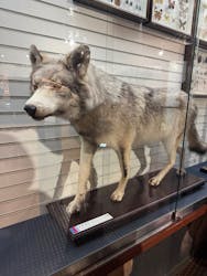 ミュージアムパーク茨城県自然博物館に投稿された画像（2026/2/24）