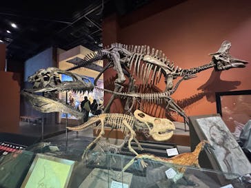 ミュージアムパーク茨城県自然博物館に投稿された画像（2026/2/24）