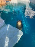 越前松島水族館に投稿された画像（2026/2/24）
