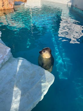 越前松島水族館に投稿された画像（2026/2/24）